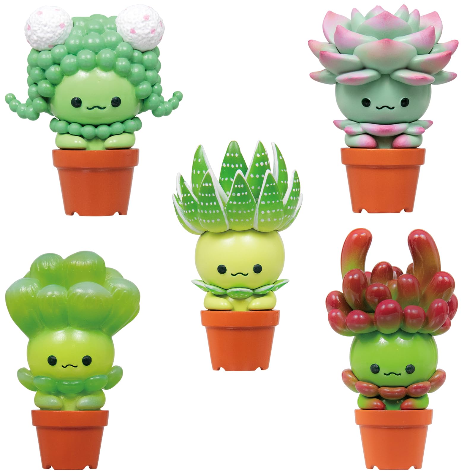 Amazon.com: Qualia Tokyo Succulent Friends Blind Box Plastic Toy